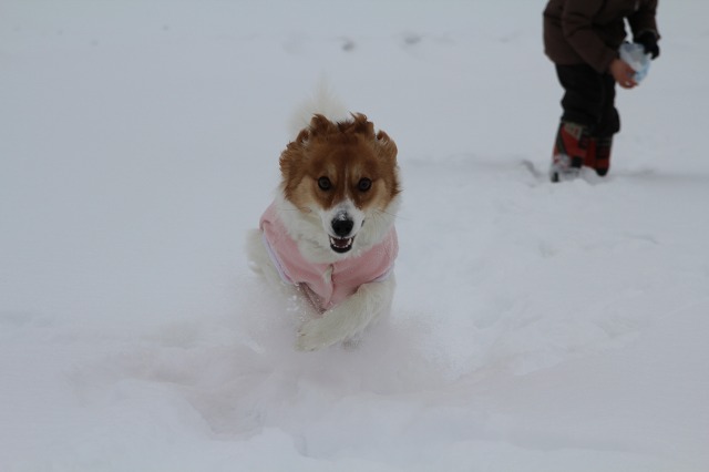 ファイル 244-5.jpg