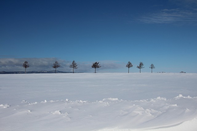 ファイル 246-2.jpg