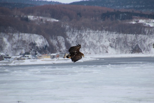 ファイル 246-5.jpg