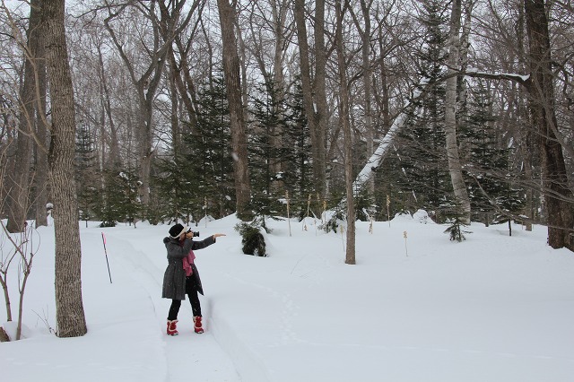 ファイル 247-2.jpg