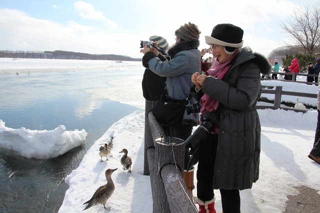 ファイル 247-5.jpg