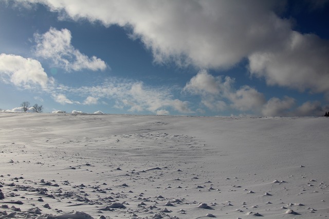 ファイル 248-2.jpg