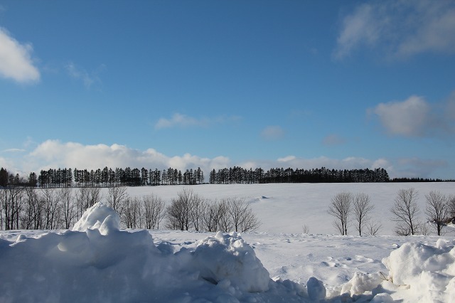 ファイル 248-3.jpg