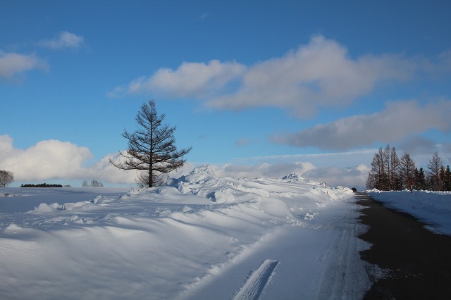 ファイル 248-5.jpg