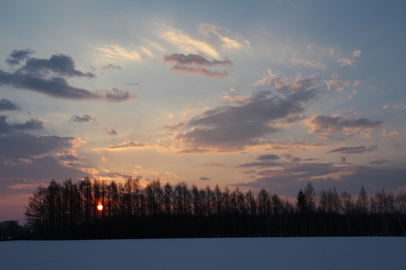 ファイル 249-2.jpg