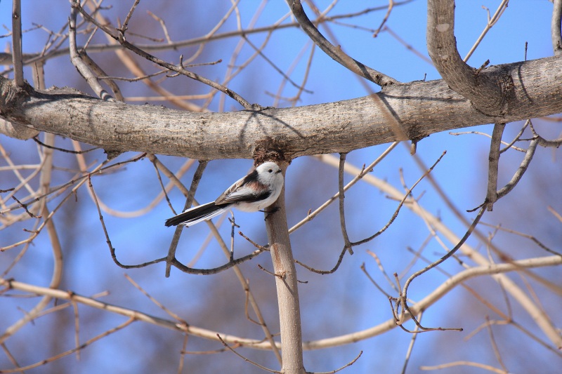 ファイル 250-2.jpg