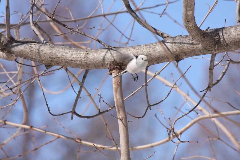 ファイル 250-3.jpg