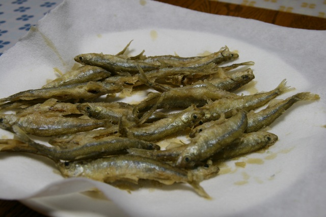 ファイル 253-3.jpg