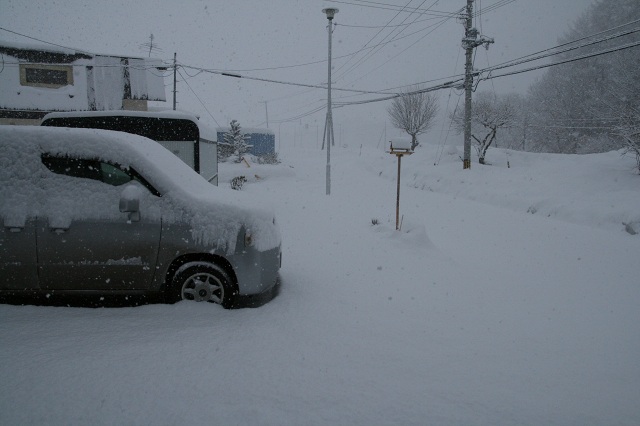 ファイル 255-1.jpg