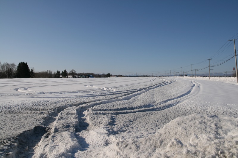 ファイル 256-1.jpg