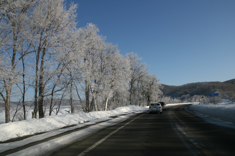 ファイル 256-2.jpg