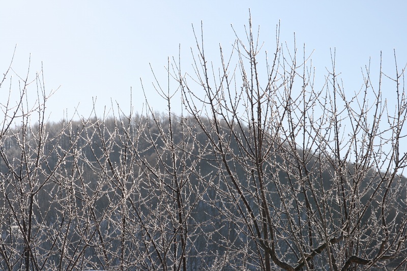 ファイル 256-5.jpg