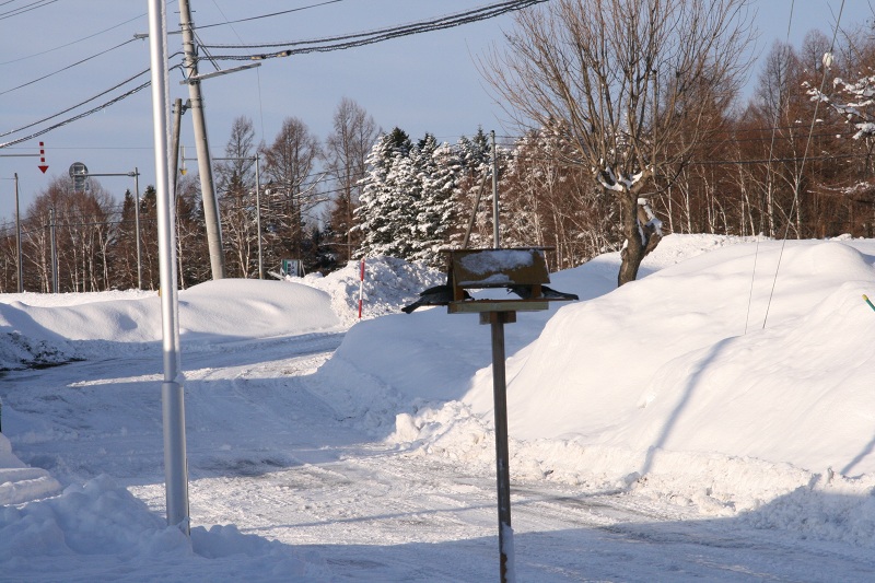 ファイル 257-1.jpg