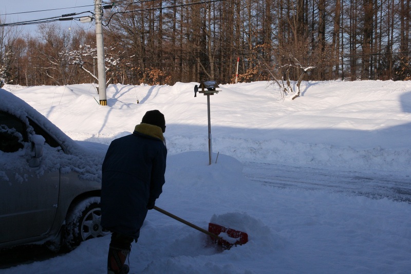 ファイル 257-2.jpg