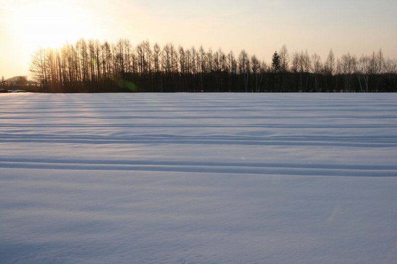 ファイル 259-1.jpg