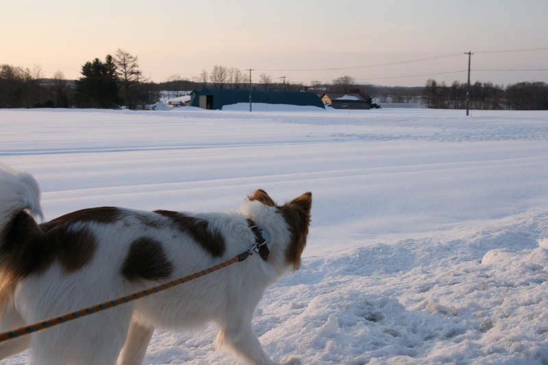 ファイル 259-2.jpg