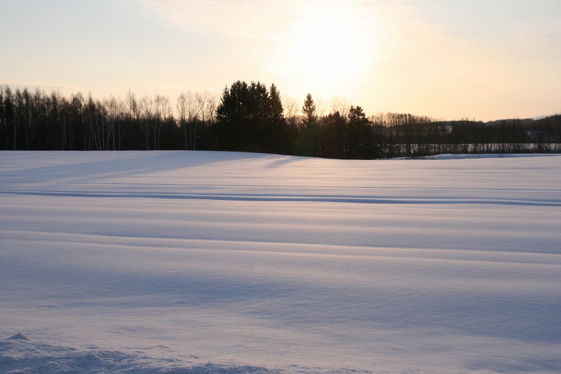 ファイル 259-3.jpg