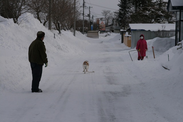 ファイル 261-4.jpg