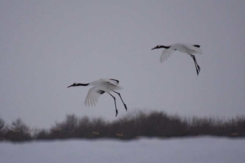 ファイル 263-3.jpg