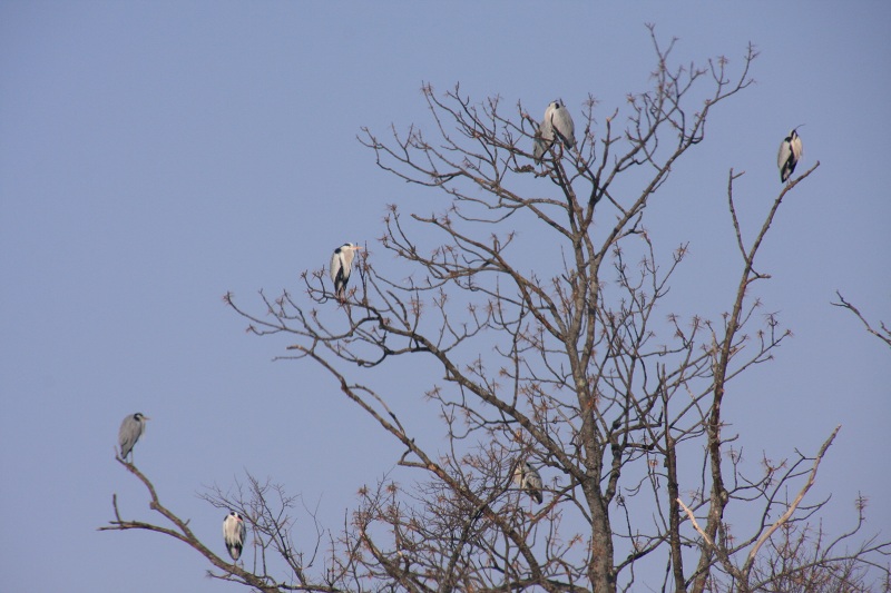 ファイル 264-2.jpg