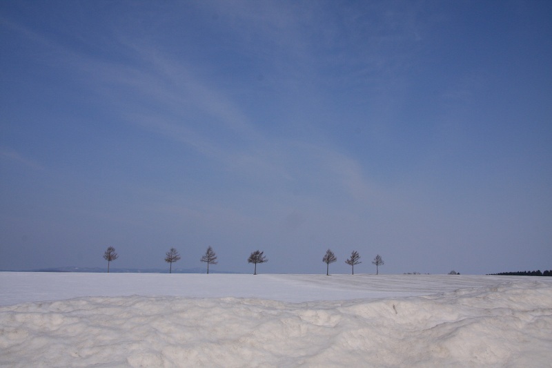 ファイル 265-1.jpg