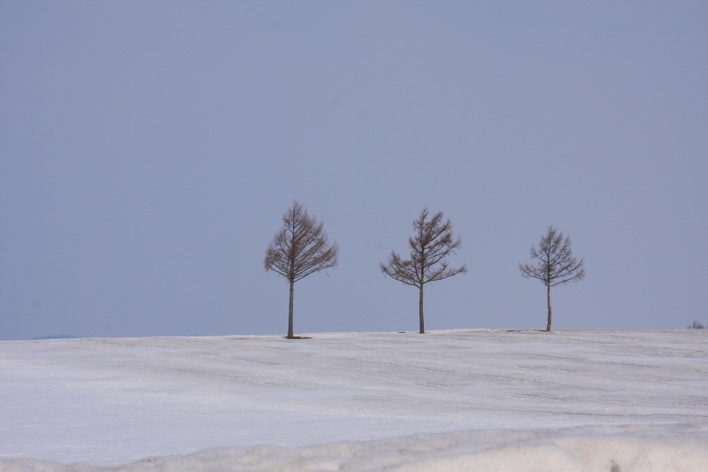 ファイル 265-2.jpg