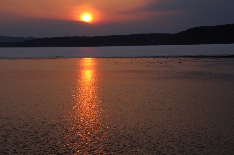 ファイル 266-1.jpg