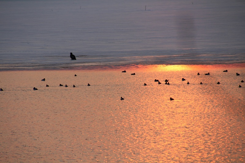 ファイル 266-3.jpg