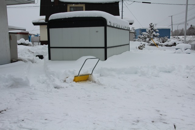 ファイル 268-2.jpg