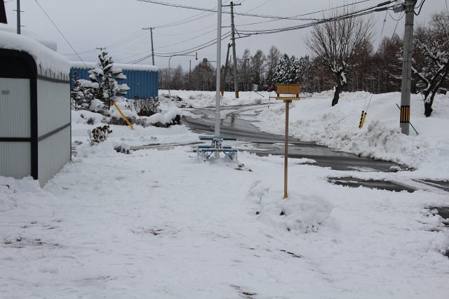 ファイル 268-5.jpg