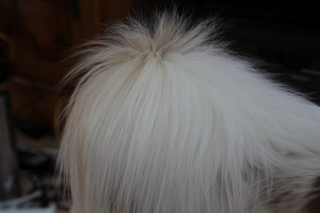 ファイル 269-1.jpg