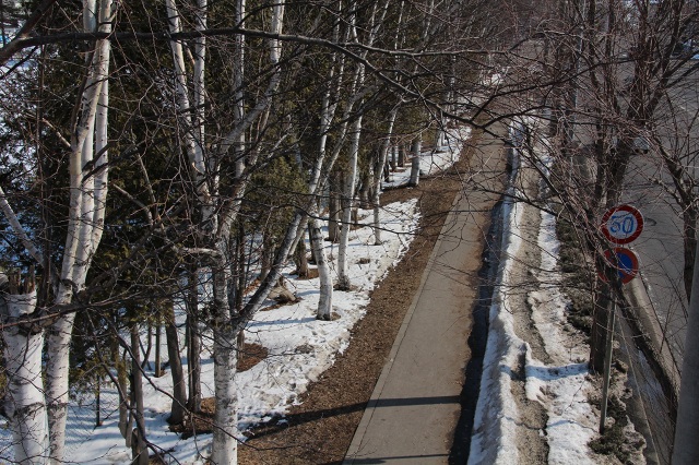 ファイル 269-5.jpg