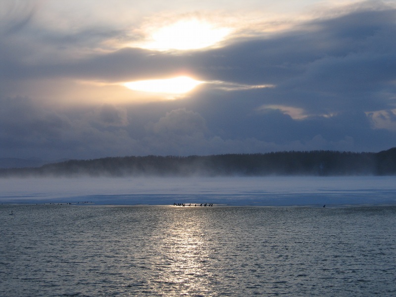 ファイル 270-1.jpg