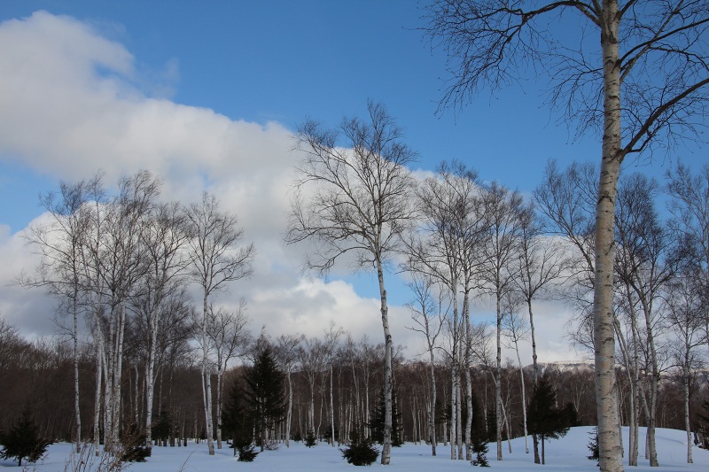 ファイル 271-3.jpg