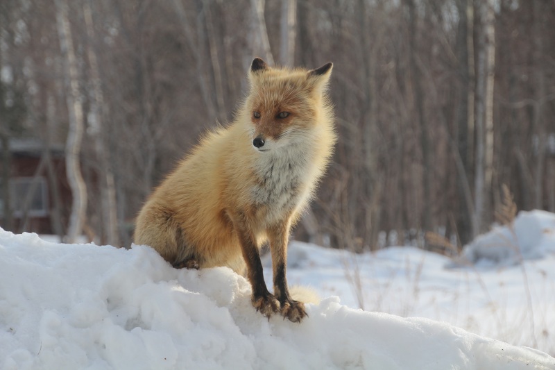 ファイル 271-4.jpg