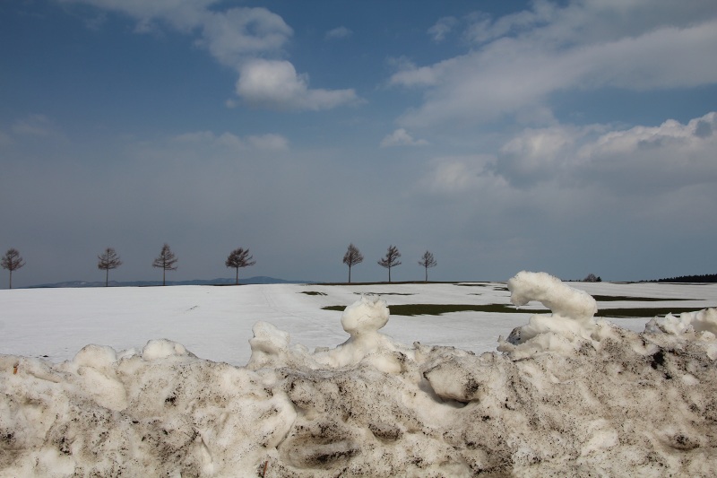 ファイル 272-1.jpg