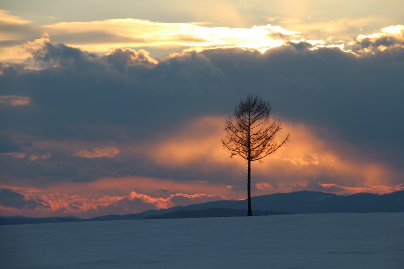 ファイル 272-2.jpg