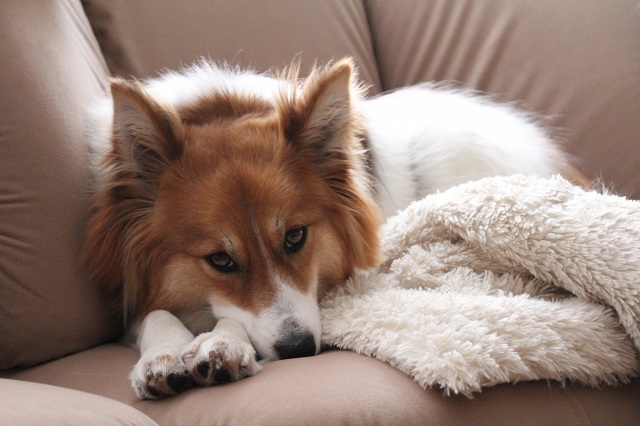 ファイル 273-2.jpg