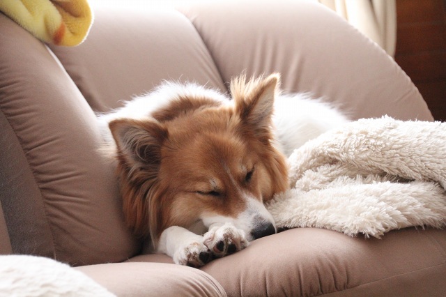 ファイル 273-3.jpg