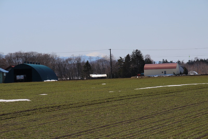 ファイル 274-2.jpg