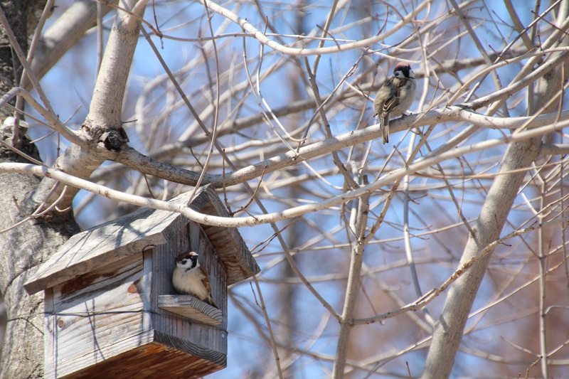 ファイル 274-4.jpg