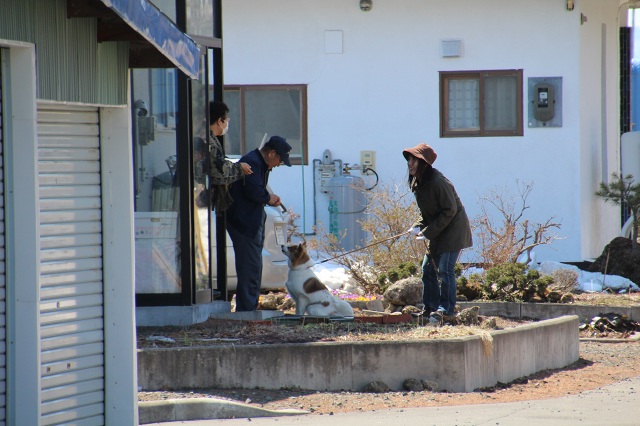 ファイル 274-5.jpg