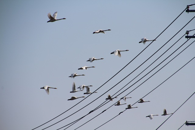 ファイル 276-1.jpg