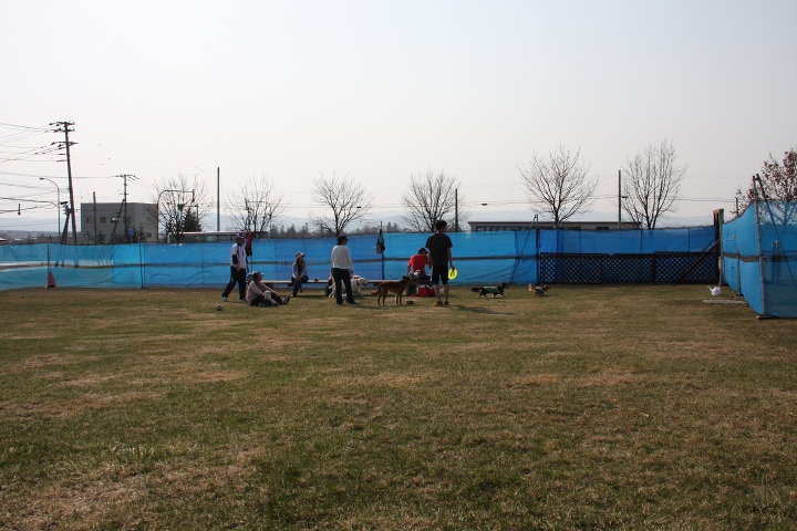 ファイル 278-3.jpg