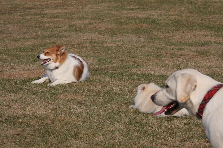 ファイル 278-4.jpg