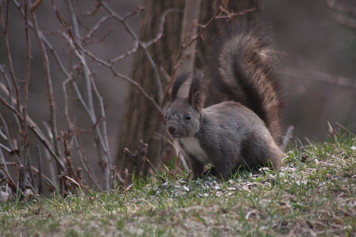 ファイル 279-1.jpg