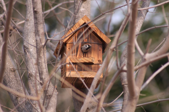 ファイル 279-4.jpg