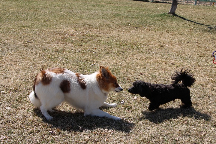 ファイル 281-1.jpg