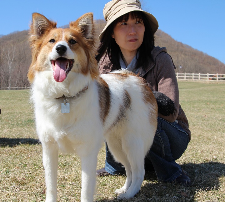 ファイル 281-2.jpg