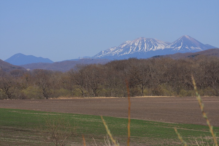 ファイル 281-4.jpg